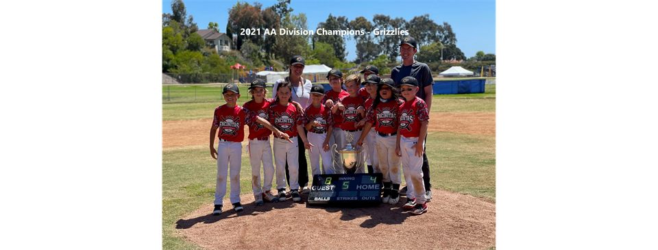 2021 AA Champions - Grizzlies