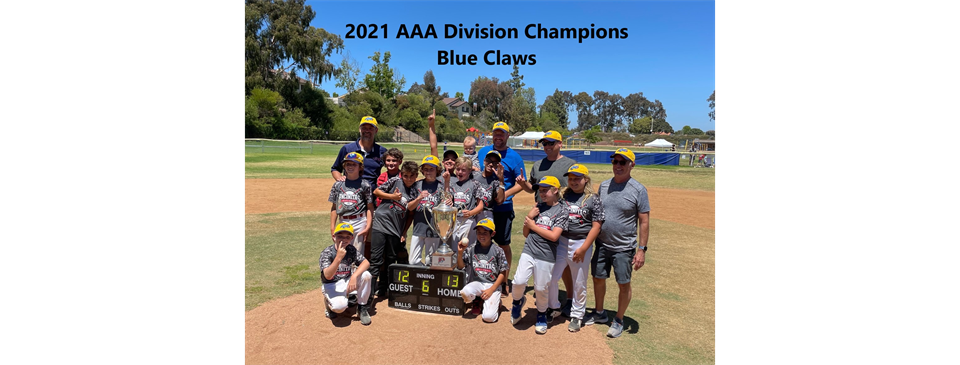 2021 AAA Champions - Blue Claws